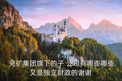  兗礦集團旗下的子 公司有哪些哪些又是獨立財政的謝謝