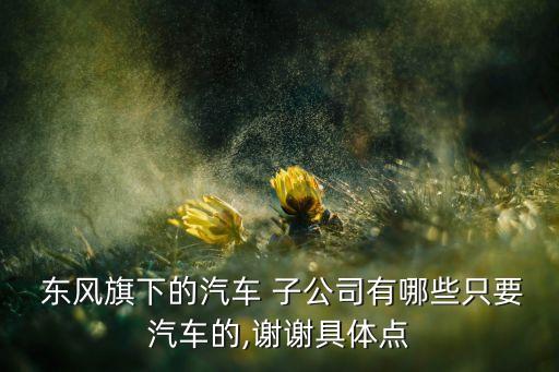  東風旗下的汽車 子公司有哪些只要汽車的,謝謝具體點