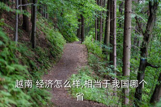  越南 經(jīng)濟怎么樣,相當于我國哪個省