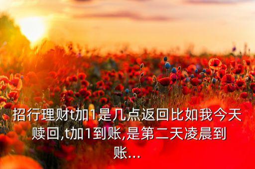 招行理財(cái)t加1是幾點(diǎn)返回比如我今天 贖回,t加1到賬,是第二天凌晨到賬...