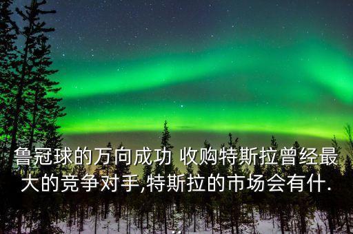 魯冠球的萬向成功 收購特斯拉曾經(jīng)最大的競爭對手,特斯拉的市場會(huì)有什...