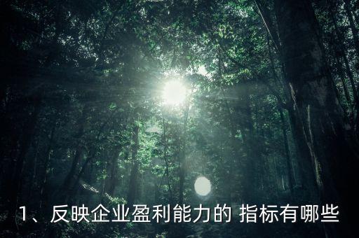 1、反映企業(yè)盈利能力的 指標(biāo)有哪些