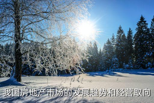 我國房地產市場的發(fā)展趨勢和經營取向
