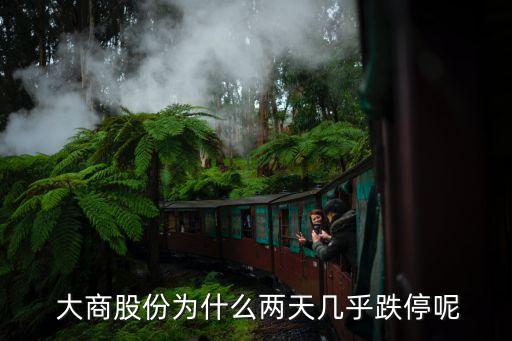 大商集團(tuán)柜臺費,大商海爾柜臺電話