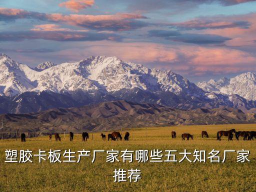 塑膠卡板生產廠家有哪些五大知名廠家推薦