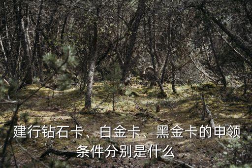  建行鉆石卡、白金卡、黑金卡的申領(lǐng)條件分別是什么
