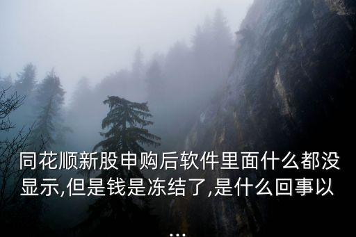  同花順新股申購(gòu)后軟件里面什么都沒(méi)顯示,但是錢是凍結(jié)了,是什么回事以...