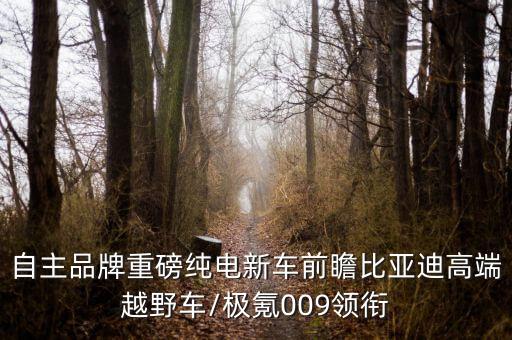 自主品牌重磅純電新車前瞻比亞迪高端越野車/極氪009領銜