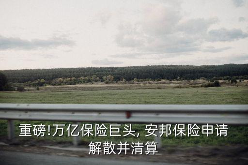 重磅!萬(wàn)億保險(xiǎn)巨頭, 安邦保險(xiǎn)申請(qǐng)解散并清算