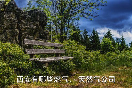 西安有哪些燃氣、 天然氣公司