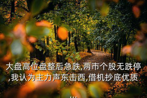 大盤高位盤整后急跌,兩市個股無跌停,我認(rèn)為主力聲東擊西,借機(jī)抄底優(yōu)質(zhì)...