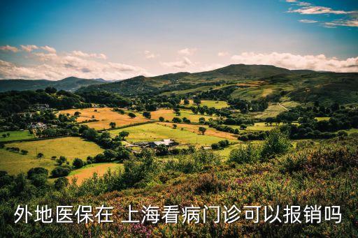 外地醫(yī)保在 上?？床￠T診可以報(bào)銷嗎