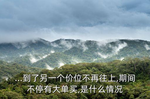 ...到了另一個(gè)價(jià)位不再往上,期間不停有大單買(mǎi),是什么情況