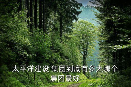  太平洋建設(shè) 集團(tuán)到底有多大哪個 集團(tuán)最好