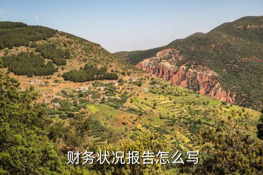 宗申動力公司財(cái)務(wù)現(xiàn)狀及前景分析