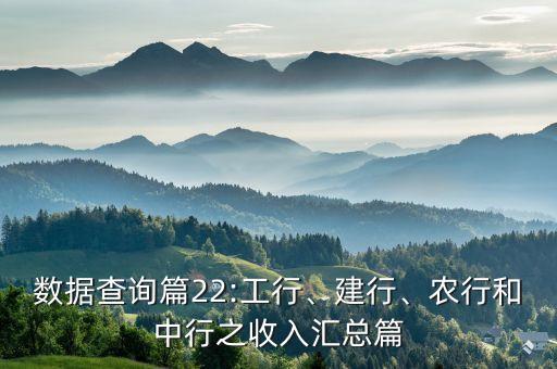 數(shù)據(jù)查詢篇22:工行、建行、農(nóng)行和中行之收入?yún)R總篇