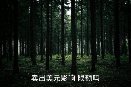 中國(guó)換匯限額,換匯限額是從什么時(shí)候開(kāi)始算的