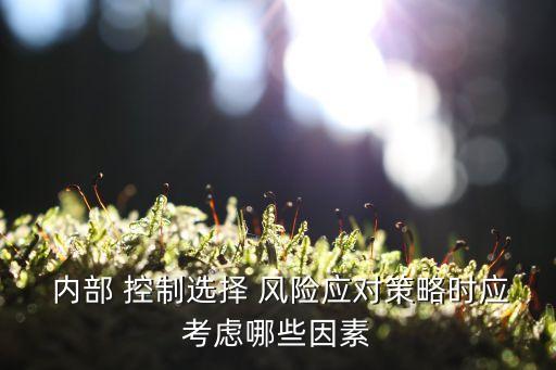  內(nèi)部 控制選擇 風(fēng)險應(yīng)對策略時應(yīng)考慮哪些因素