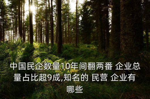 中國(guó)民企數(shù)量10年間翻兩番 企業(yè)總量占比超9成,知名的 民營(yíng) 企業(yè)有哪些