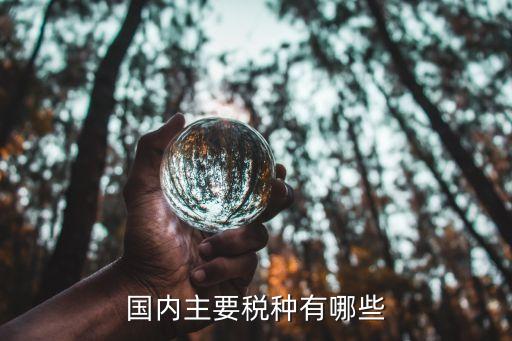 國內主要稅種有哪些