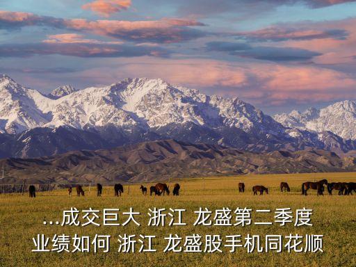 ...成交巨大 浙江 龍盛第二季度業(yè)績?nèi)绾?浙江 龍盛股手機同花順