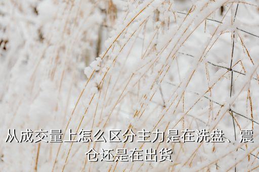 從成交量上怎么區(qū)分主力是在洗盤(pán)、震倉(cāng)還是在出貨