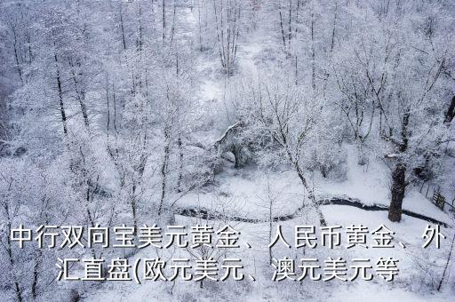 中行雙向?qū)毭涝S金、人民幣黃金、外匯直盤(歐元美元、澳元美元等