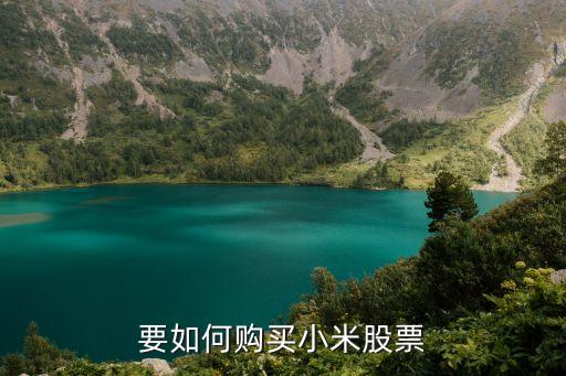 要如何購(gòu)買(mǎi)小米股票