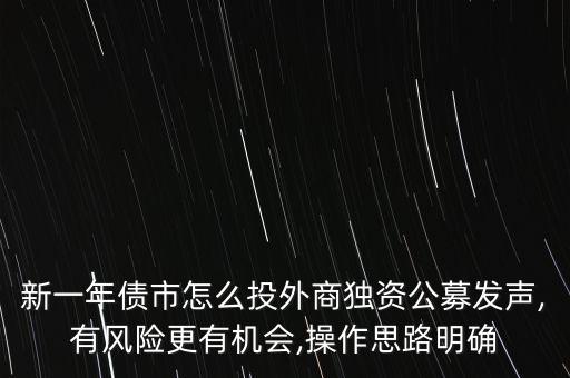 新一年債市怎么投外商獨資公募發(fā)聲,有風(fēng)險更有機(jī)會,操作思路明確
