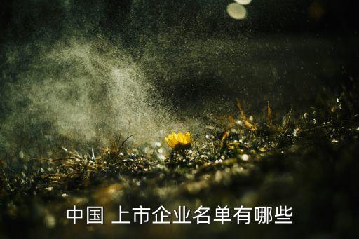 中國(guó) 上市企業(yè)名單有哪些