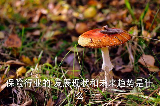 保險行業(yè)的 發(fā)展現(xiàn)狀和未來趨勢是什么