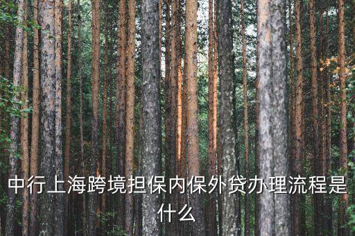 中行上?？缇硴?nèi)保外貸辦理流程是什么