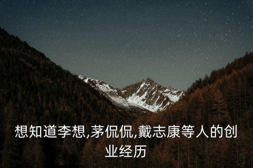 想知道李想,茅侃侃,戴志康等人的創(chuàng)業(yè)經歷