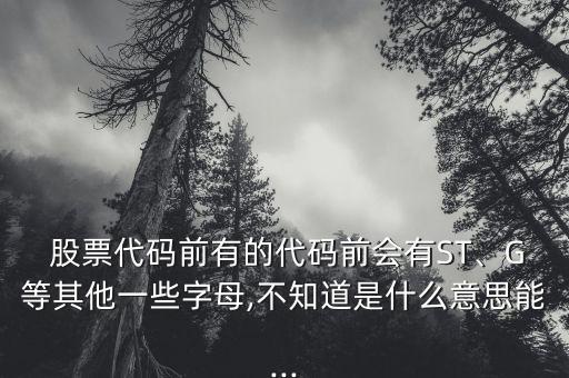  股票代碼前有的代碼前會有ST、G等其他一些字母,不知道是什么意思能...