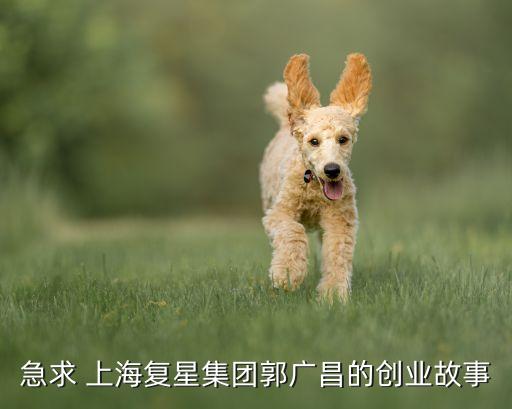 急求 上海復星集團郭廣昌的創(chuàng)業(yè)故事