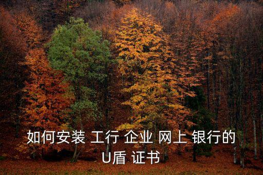 如何安裝 工行 企業(yè) 網(wǎng)上 銀行的U盾 證書