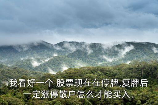 我看好一個(gè) 股票現(xiàn)在在停牌,復(fù)牌后一定漲停散戶怎么才能買入、