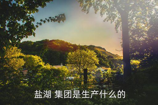  鹽湖 集團是生產什么的