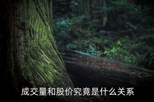  成交量和股價究竟是什么關系