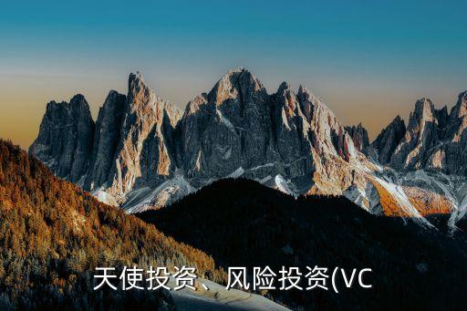 天使投資、風(fēng)險(xiǎn)投資(VC