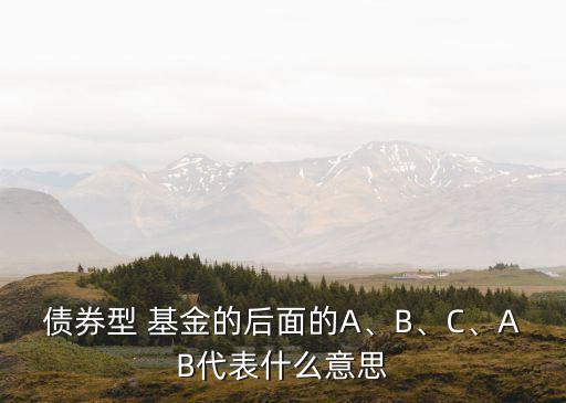 債券型 基金的后面的A、B、C、AB代表什么意思