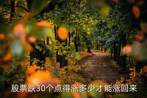  股票跌30個點(diǎn)得漲多少才能漲回來