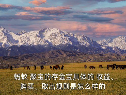  螞蟻 聚寶的存金寶具體的 收益、購買、取出規(guī)則是怎么樣的