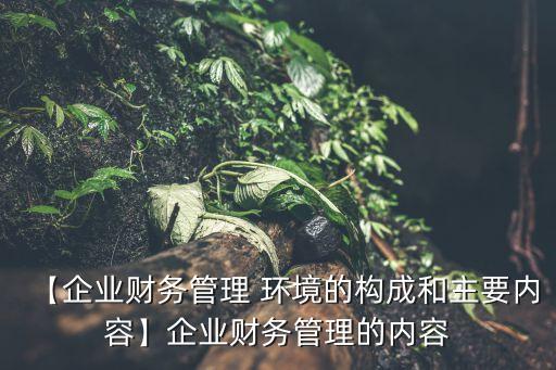 【企業(yè)財務管理 環(huán)境的構(gòu)成和主要內(nèi)容】企業(yè)財務管理的內(nèi)容