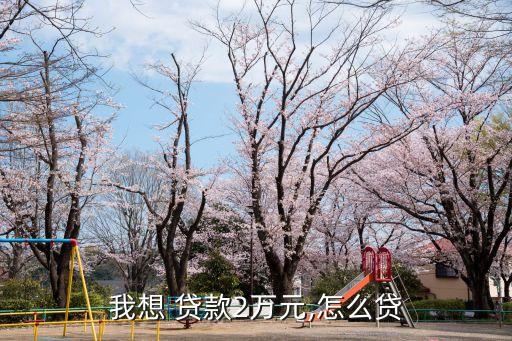 我想 貸款2萬(wàn)元,怎么貸