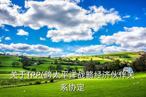 關于TPP(跨太平洋戰(zhàn)略經(jīng)濟伙伴關系協(xié)定