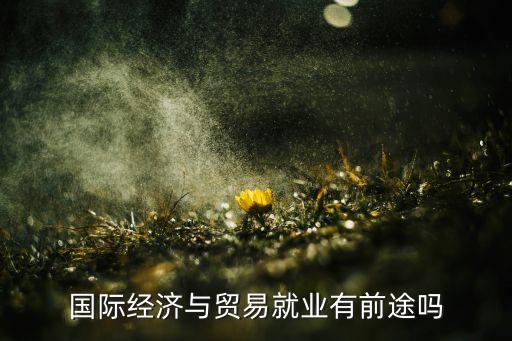 國際經濟與貿易就業(yè)有前途嗎