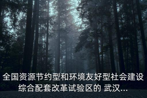 全國資源節(jié)約型和環(huán)境友好型社會建設綜合配套改革試驗區(qū)的 武漢...