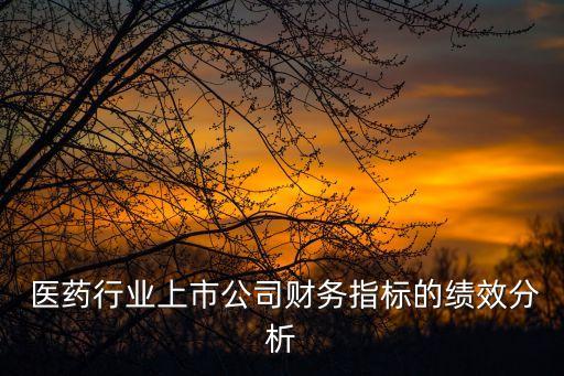  醫(yī)藥行業(yè)上市公司財務指標的績效分析