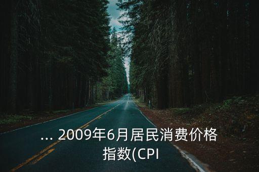 ... 2009年6月居民消費(fèi)價(jià)格 指數(shù)(CPI